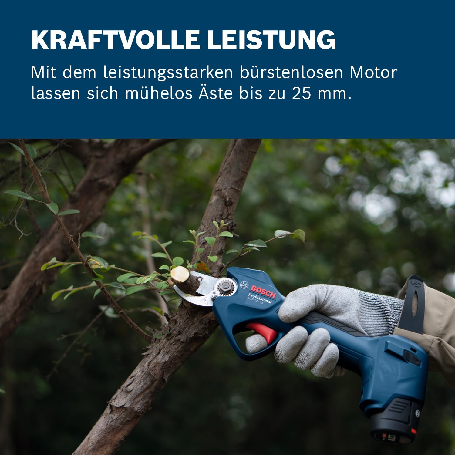 bosch-professional-astschere-pro-pruner-ggp-12v-25-akku-gartenschere-mit-b-rsten image 4