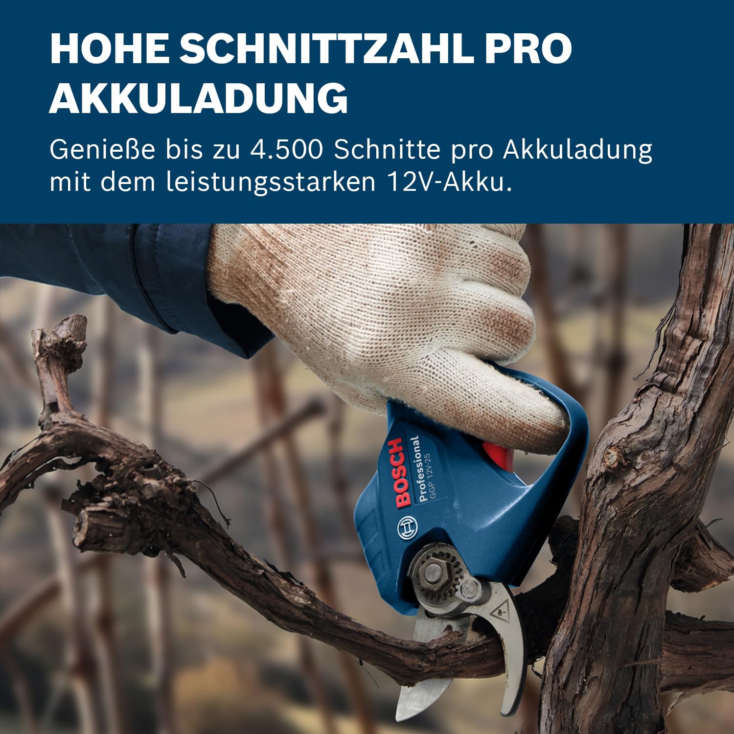 bosch-professional-astschere-pro-pruner-ggp-12v-25-akku-gartenschere-mit-b-rsten image 5