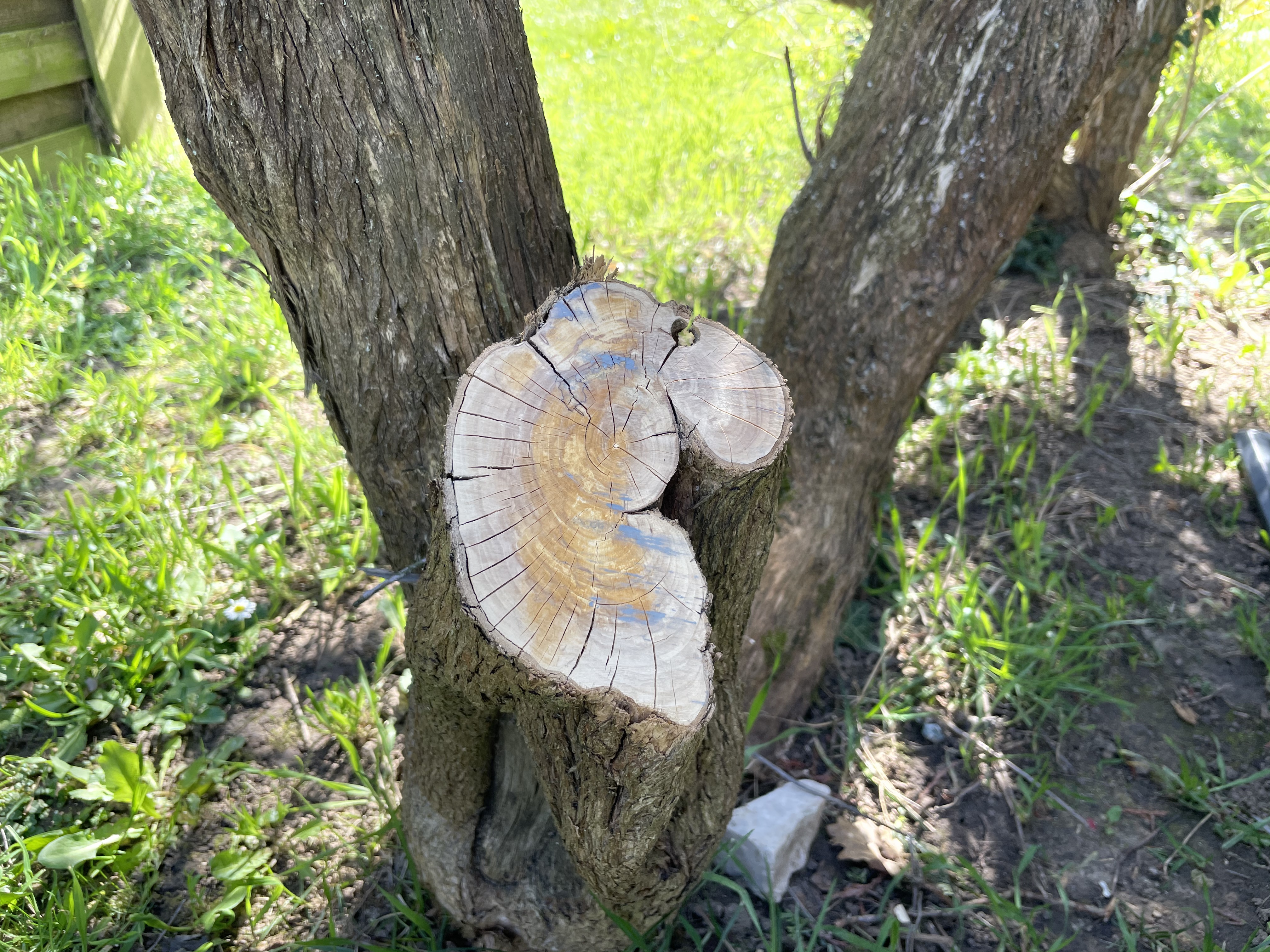 Sehr gute Säge, Handgriff könnte weicher sein